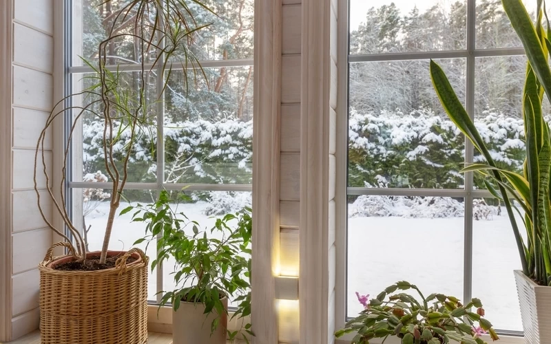 Kış Bahçesi Tasarımı: Şeffaf Bir Huzur Alanı İnşa Edin